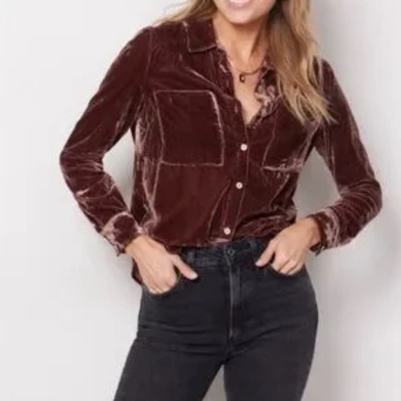 Evereve Tops - Evereve Eloise Velvet Button-Up Shirt - Brown XS